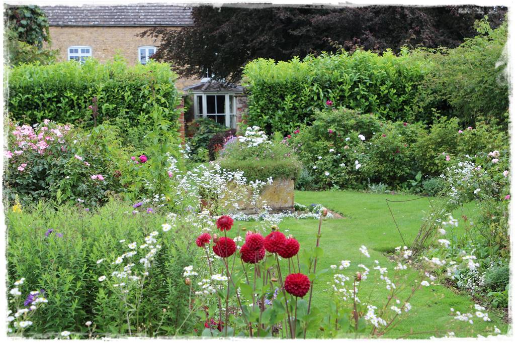 Dalie w ogrodzie aranżacje 101 Dalie w ogrodzie aranżacje 101