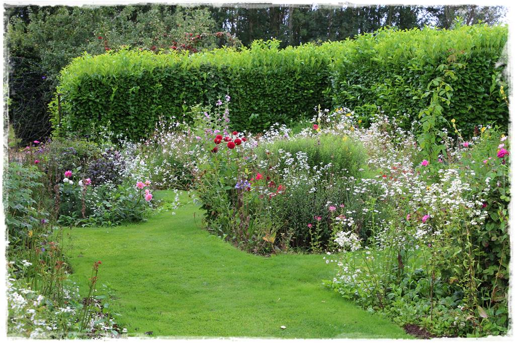 Dalie w ogrodzie aranżacje 101b Dalie w ogrodzie aranżacje 101b