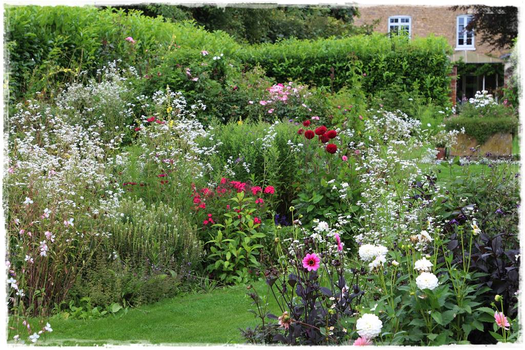 Dalie w ogrodzie aranżacje 101c Dalie w ogrodzie aranżacje 101c