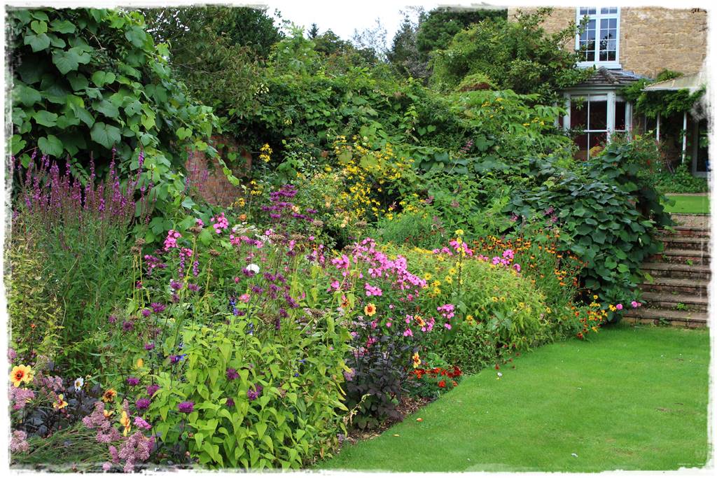 Dalie w ogrodzie aranżacje 102