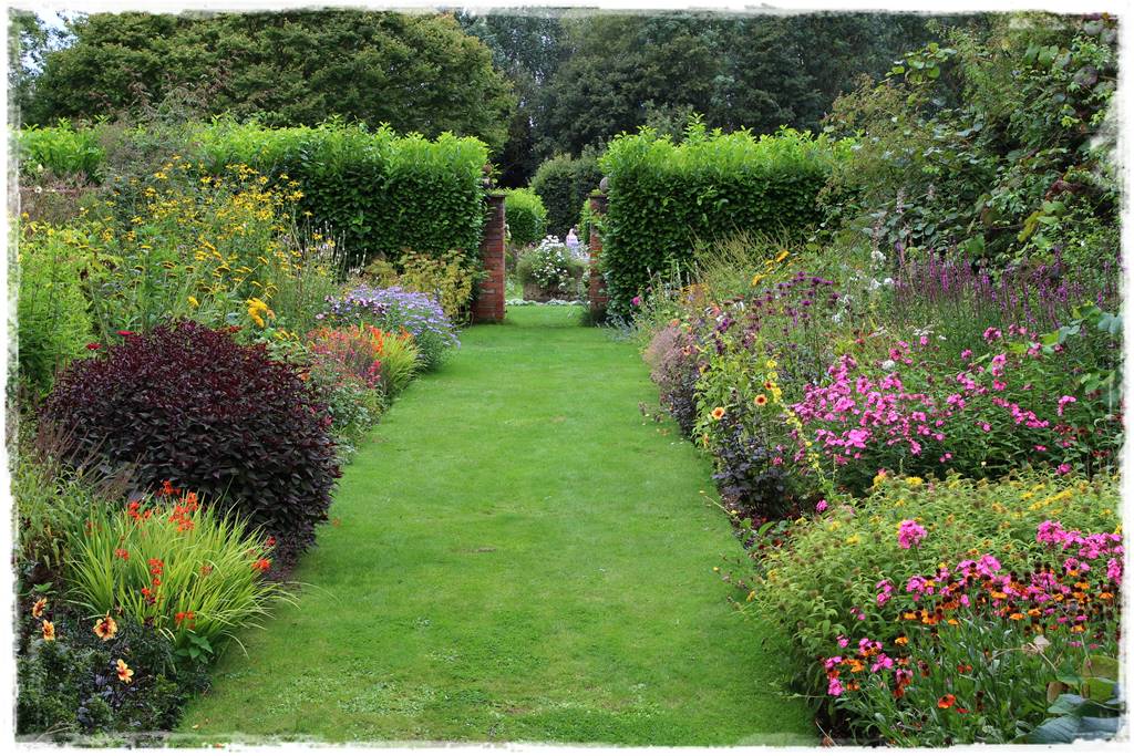 Dalie w ogrodzie aranżacje 102b