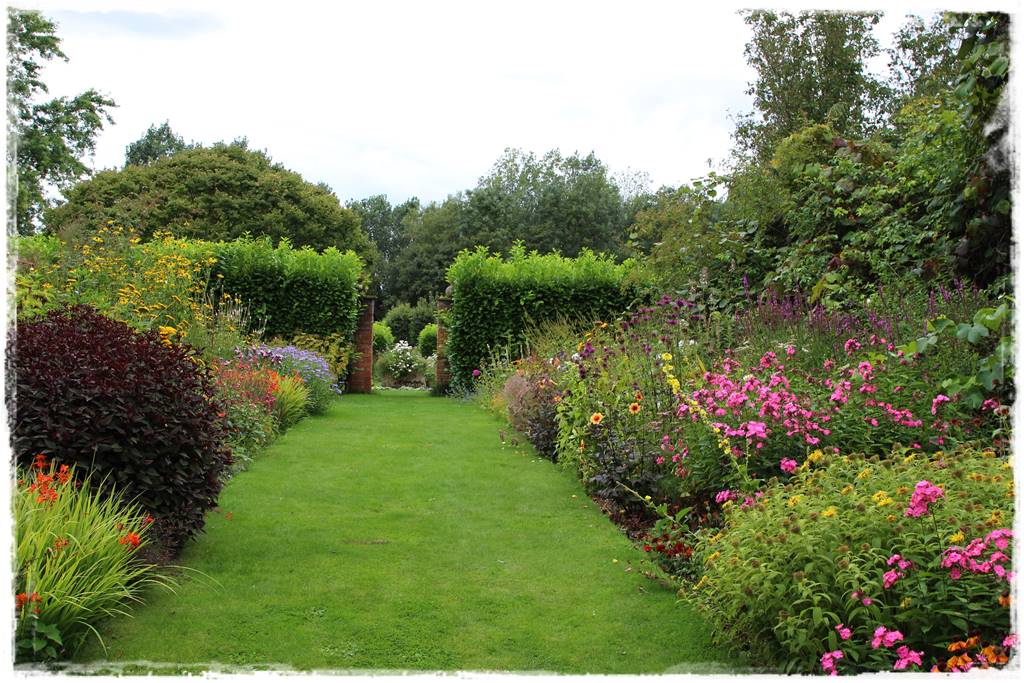 Dalie w ogrodzie aranżacje 102c Dalie w ogrodzie aranżacje 102c