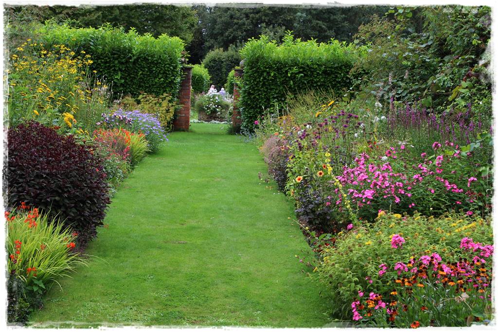 Dalie w ogrodzie aranżacje 102d Dalie w ogrodzie aranżacje 102d