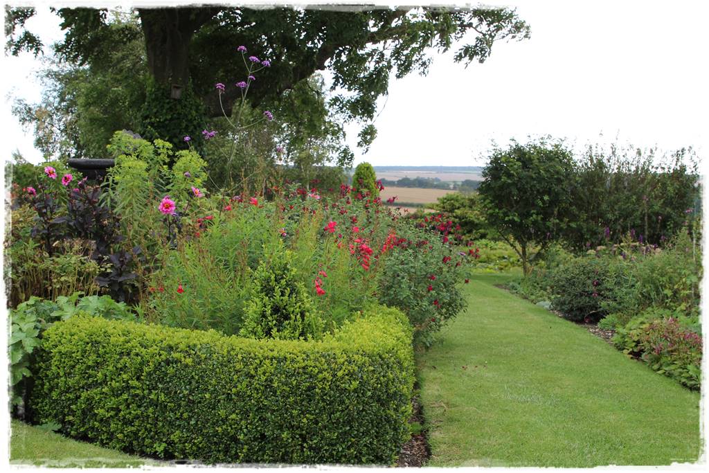 Dalie w ogrodzie aranżacje 104e