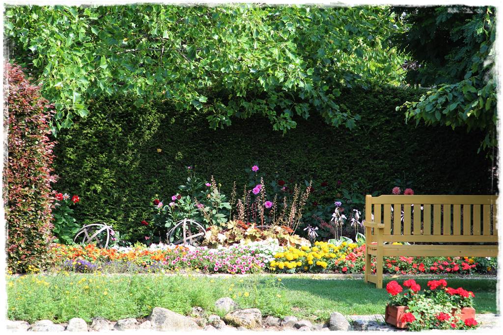 Dalie w ogrodzie aranżacje 105b Dalie w ogrodzie aranżacje 105b