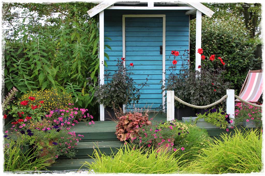 Dalie w ogrodzie aranżacje 107c Dalie w ogrodzie aranżacje 107c