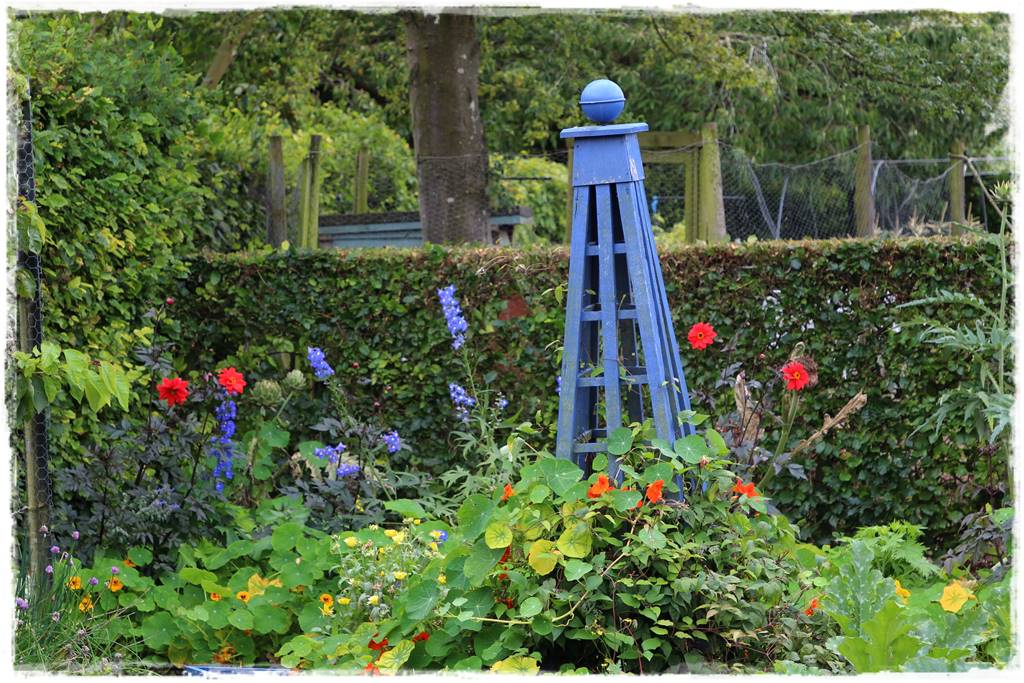 Dalie w ogrodzie aranżacje 108 Dalie w ogrodzie aranżacje 108