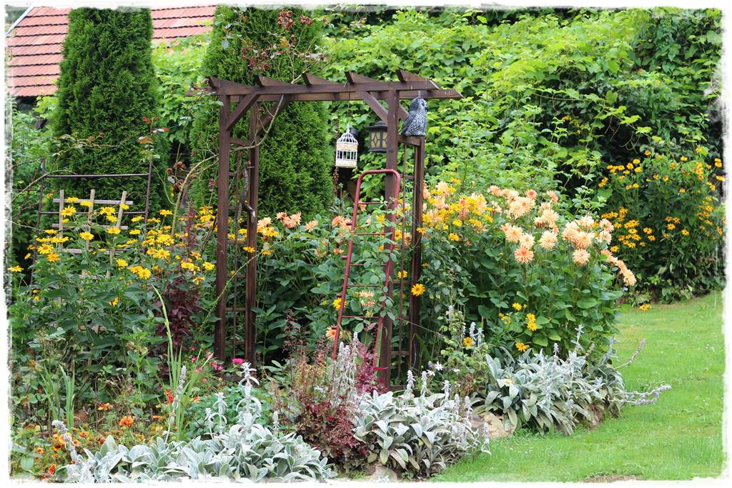 Dalie w ogrodzie aranżacje 3