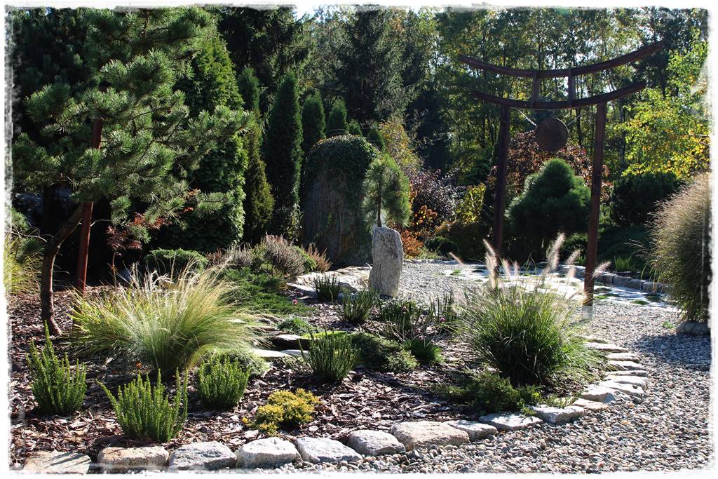 Iglaki w ogrodzie aranżacje 100e