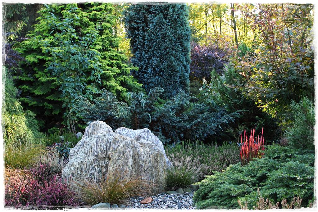 Iglaki w ogrodzie aranżacje 100f