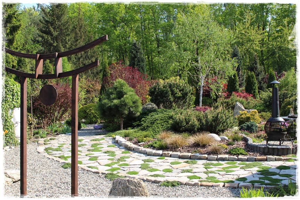 Iglaki w ogrodzie aranżacje 100i Iglaki w ogrodzie aranżacje 100i