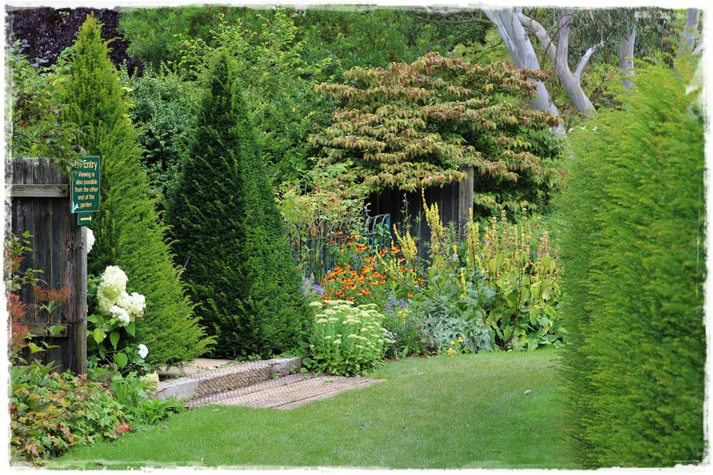 Iglaki w ogrodzie aranżacje 11 Iglaki w ogrodzie aranżacje 11