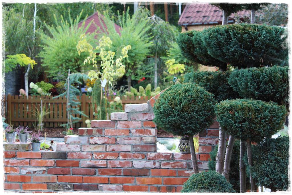 Iglaki w ogrodzie aranżacje 12 Iglaki w ogrodzie aranżacje 12