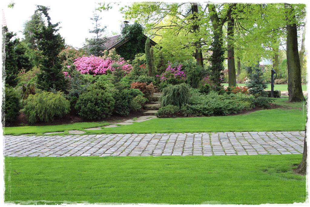 Iglaki w ogrodzie aranżacje 120b Iglaki w ogrodzie aranżacje 120b