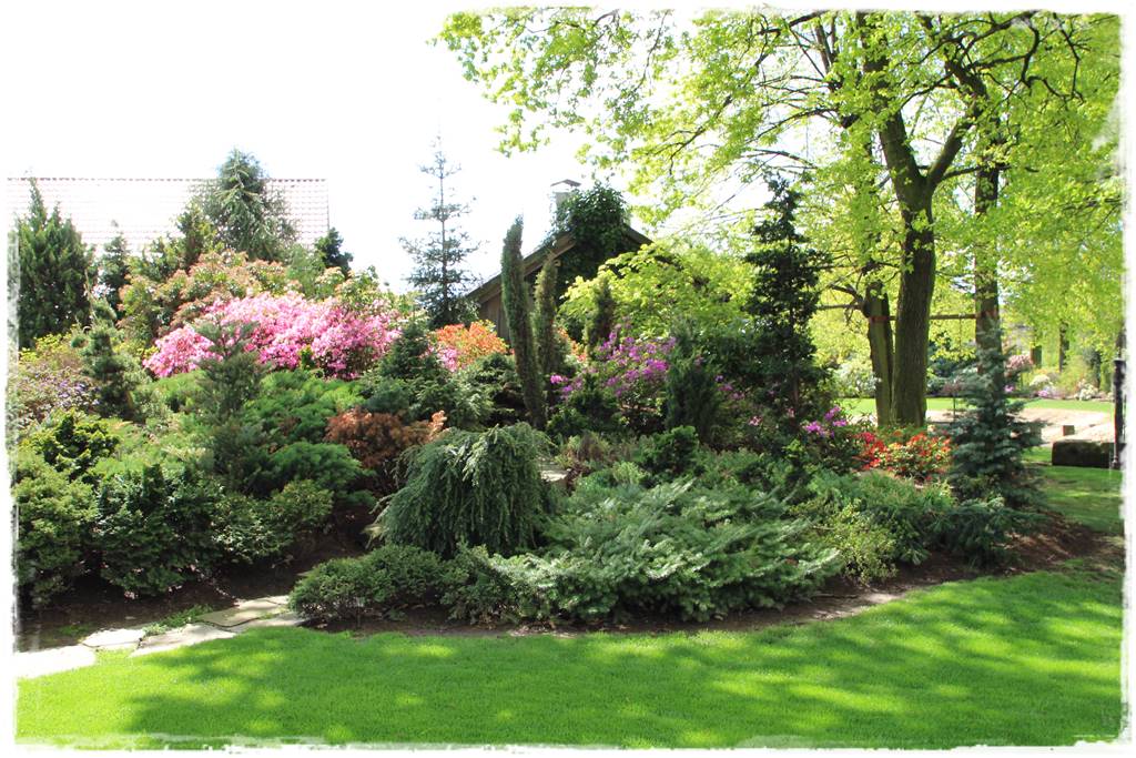 Iglaki w ogrodzie aranżacje 120c Iglaki w ogrodzie aranżacje 120c