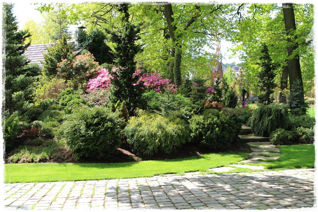 Iglaki w ogrodzie aranżacje 120d