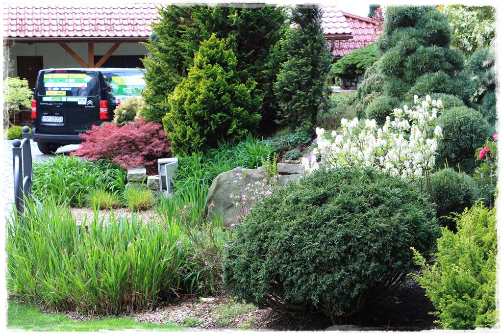 Iglaki w ogrodzie aranżacje 120f Iglaki w ogrodzie aranżacje 120f