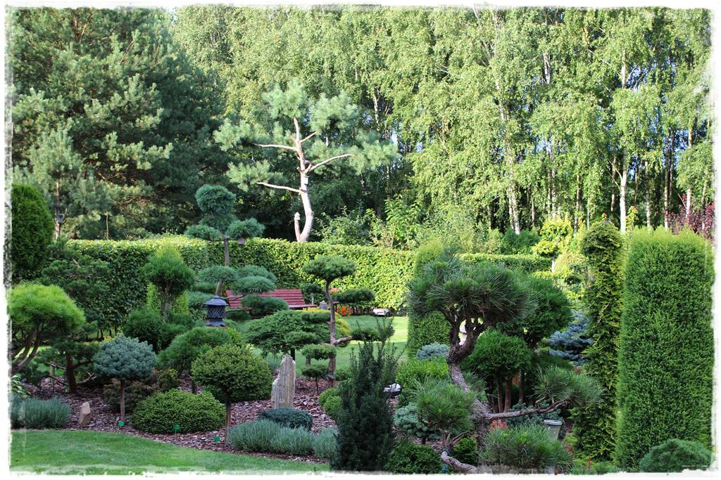 Iglaki w ogrodzie aranżacje 130b Iglaki w ogrodzie aranżacje 130b