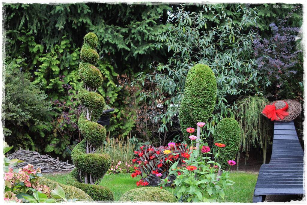 Iglaki w ogrodzie aranżacje 14 Iglaki w ogrodzie aranżacje 14