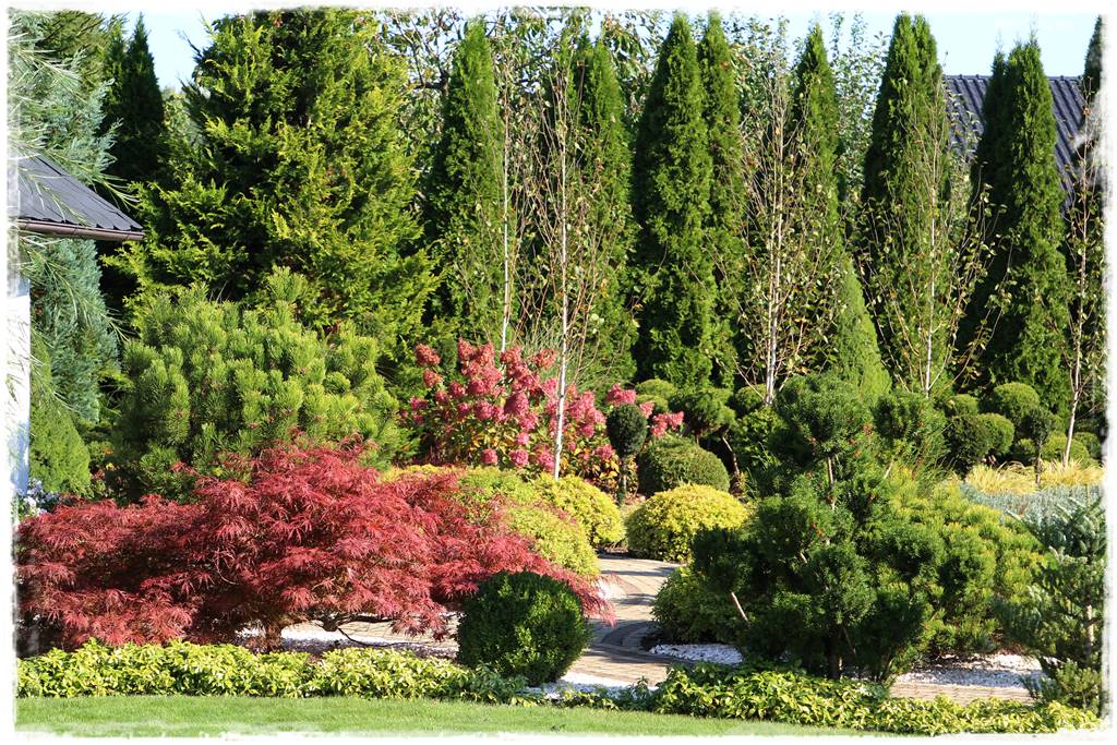 Iglaki w ogrodzie aranżacje 140b Iglaki w ogrodzie aranżacje 140b