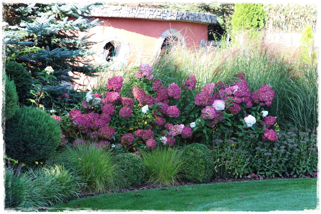 Iglaki w ogrodzie aranżacje 140j