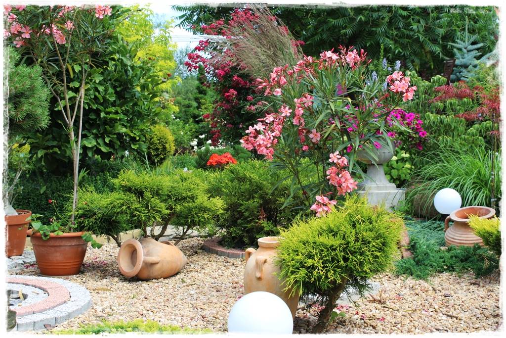 Iglaki w ogrodzie aranżacje 150d