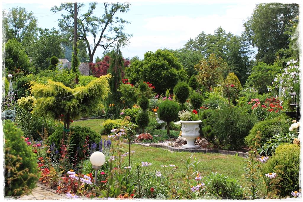 Iglaki w ogrodzie aranżacje 150e