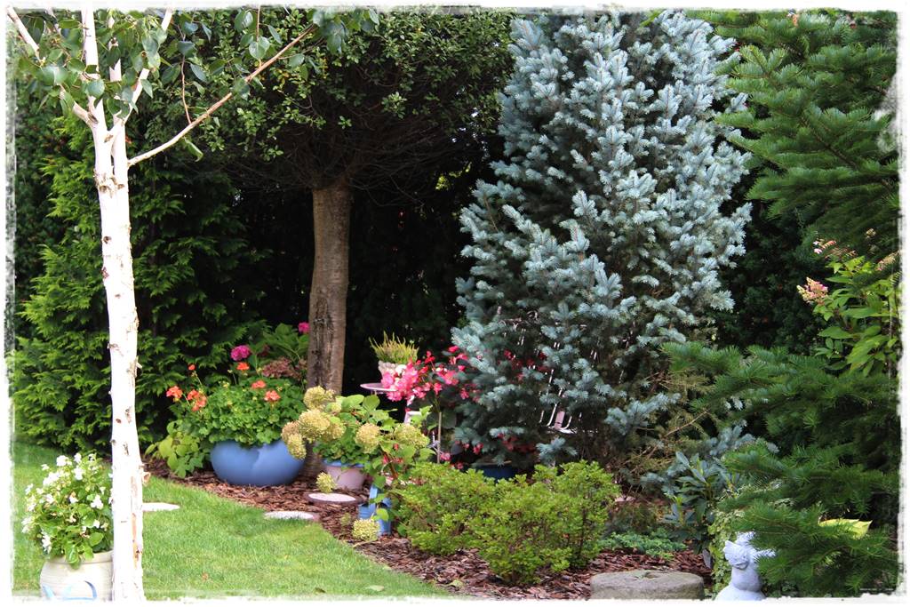 Iglaki w ogrodzie aranżacje 2 Iglaki w ogrodzie aranżacje 2