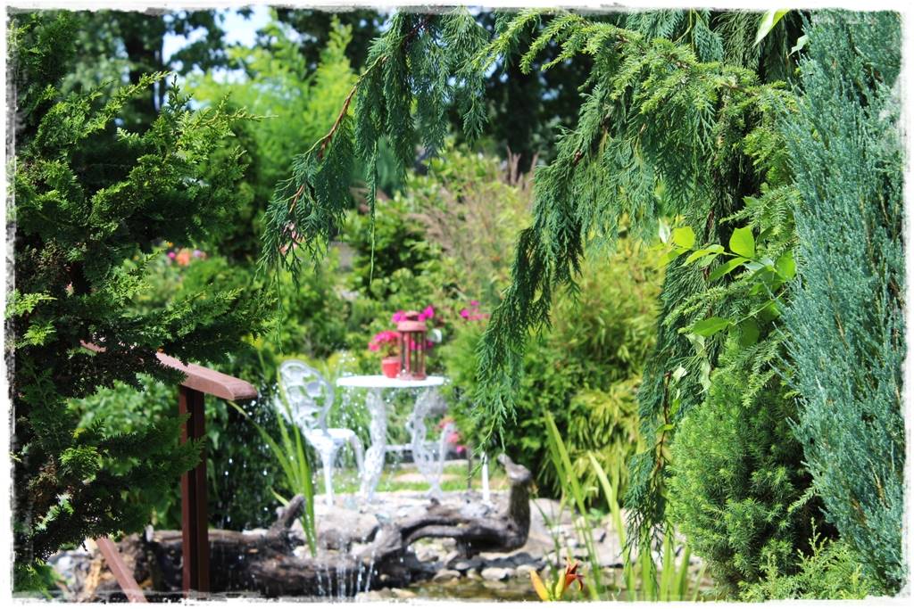 Iglaki w ogrodzie aranżacje 29 Iglaki w ogrodzie aranżacje 29