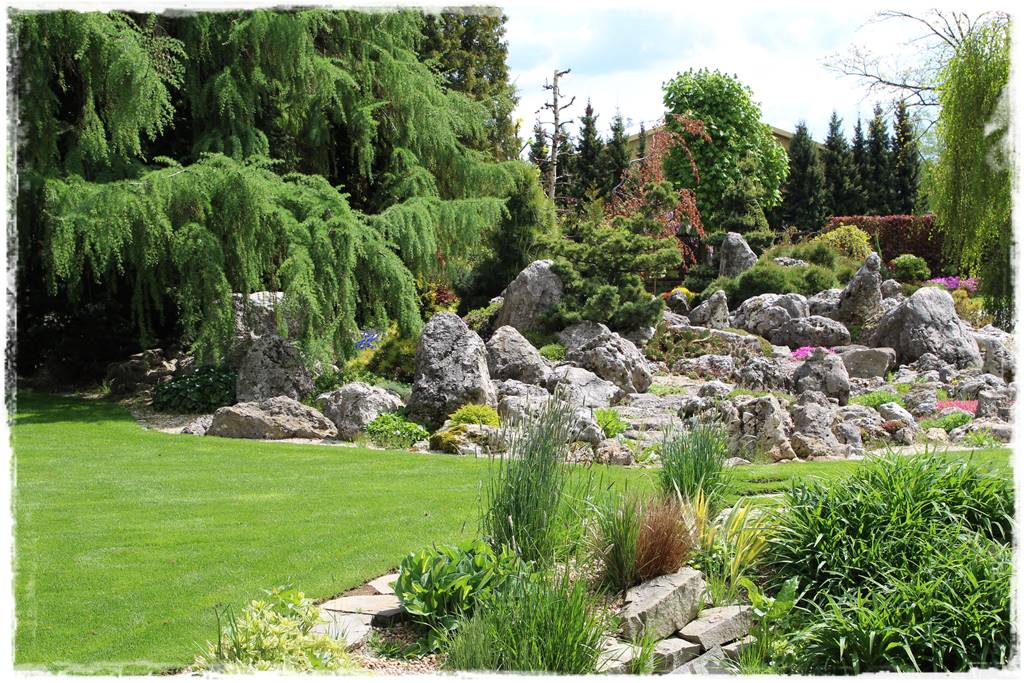 Iglaki w ogrodzie aranżacje 32 Iglaki w ogrodzie aranżacje 32