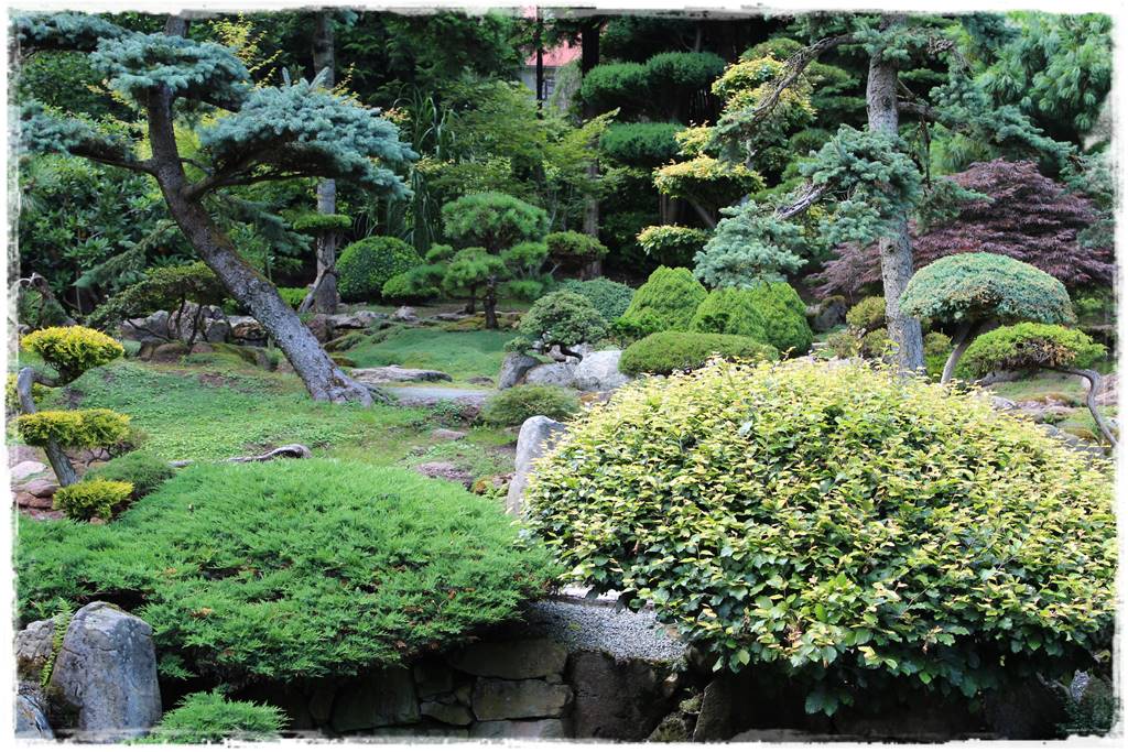 Iglaki w ogrodzie aranżacje 6 Iglaki w ogrodzie aranżacje 6