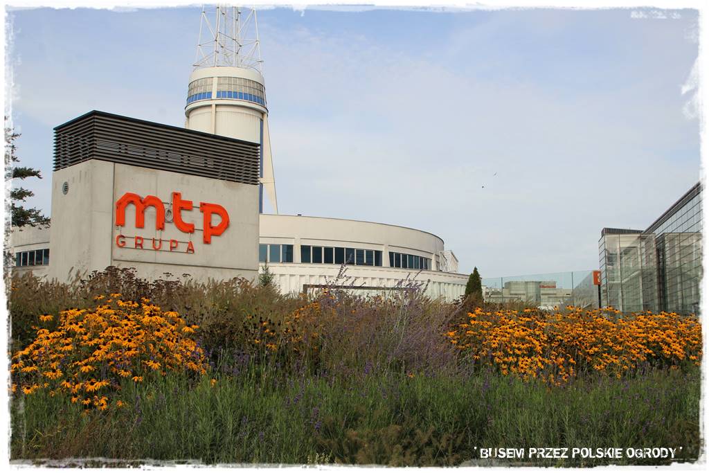 Międzynarodowe Targi Poznańskie 1