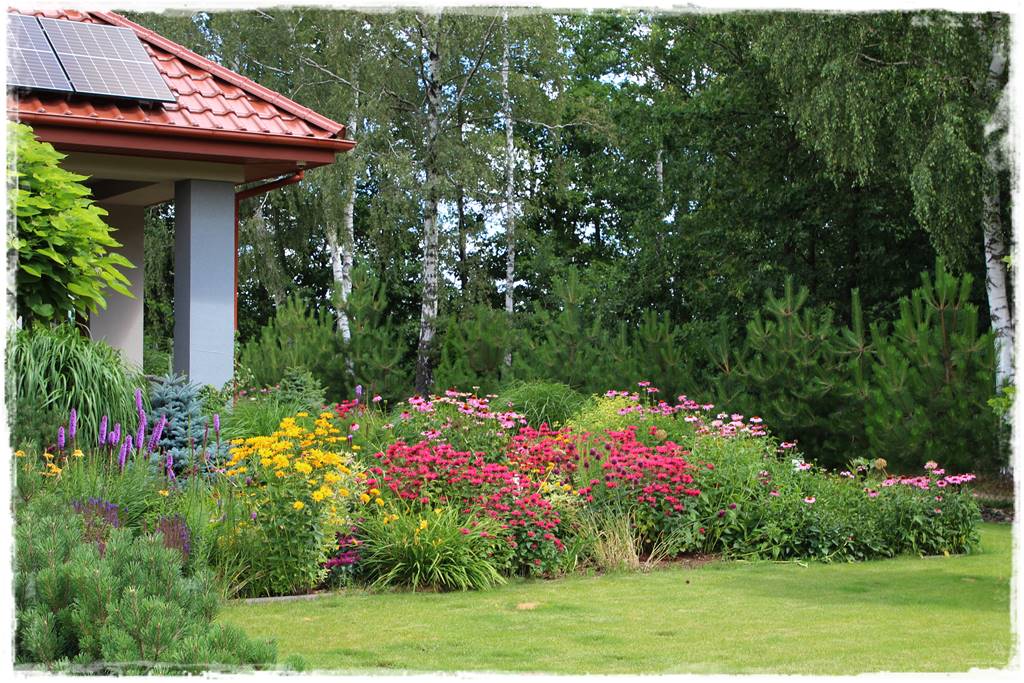 Pysznogłówka na rabacie 10