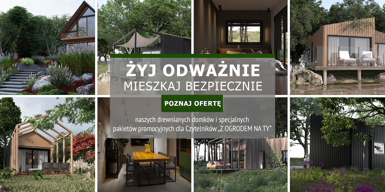 Pysznogłówka na rabacie 102