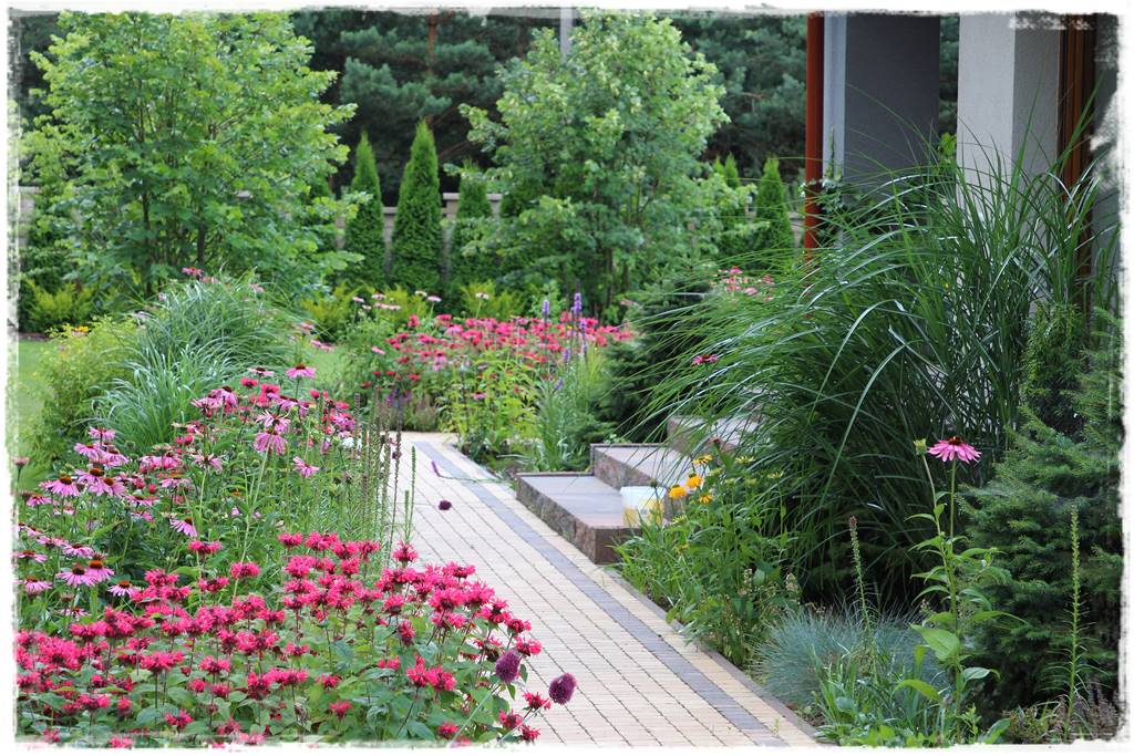 Pysznogłówka na rabacie 10f