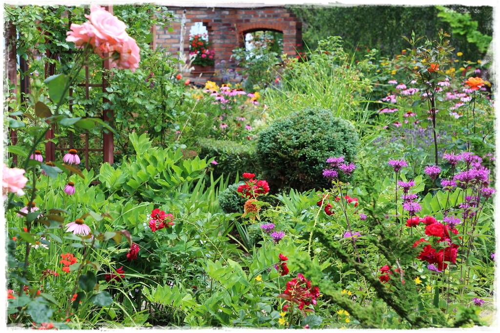 Pysznogłówka na rabacie 20b