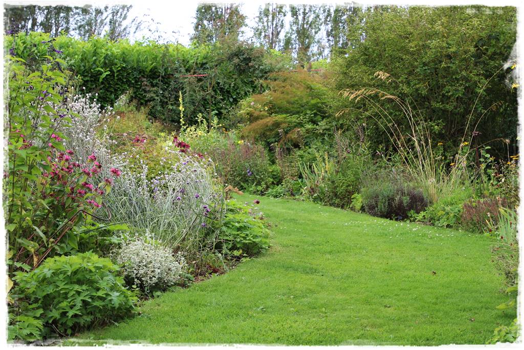 Pysznogłówka na rabacie 30