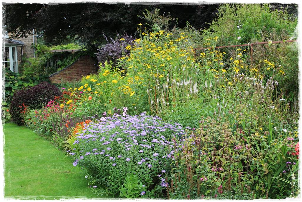 Pysznogłówka na rabacie 30c