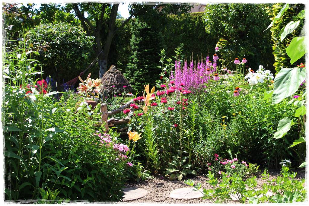 Pysznogłówka na rabacie 40