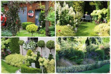 Trzmielina w ogrodzie aranżacje 1