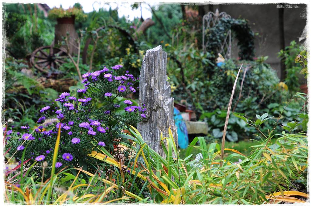 Wieloletnie kwiaty na rabatę 1 Wieloletnie kwiaty na rabatę 1