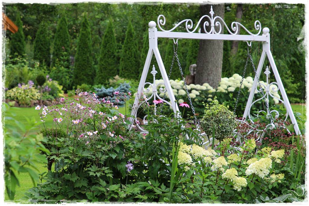 Wieloletnie kwiaty na rabatę 10 Wieloletnie kwiaty na rabatę 10