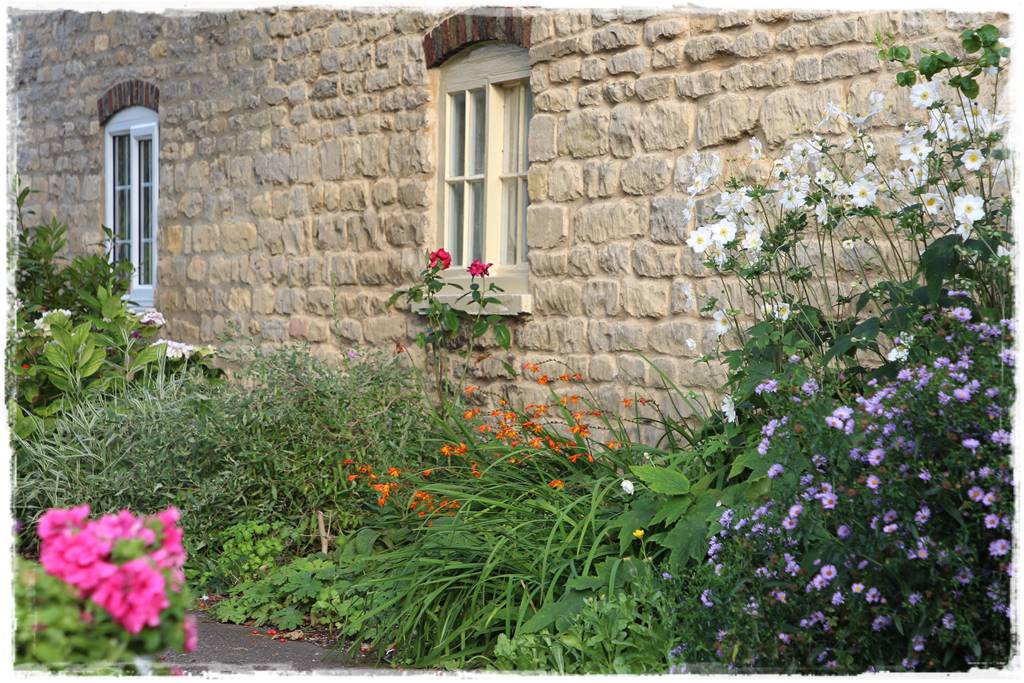 Wieloletnie kwiaty na rabatę 10c Wieloletnie kwiaty na rabatę 10c