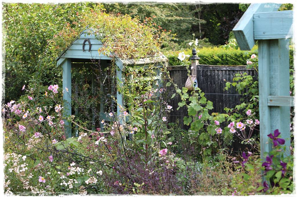 Wieloletnie kwiaty na rabatę 10d Wieloletnie kwiaty na rabatę 10d