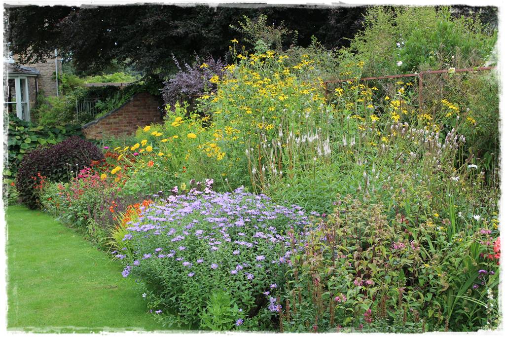 Wieloletnie kwiaty na rabatę 1c Wieloletnie kwiaty na rabatę 1c