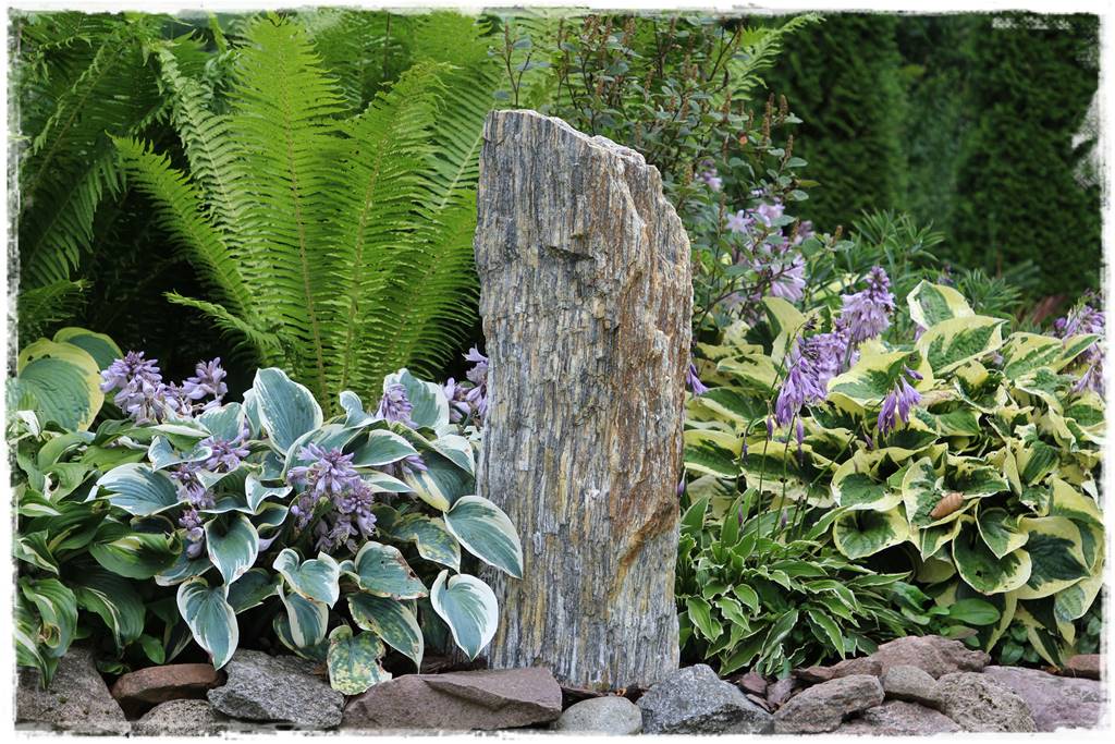 Wieloletnie kwiaty na rabatę 2 Wieloletnie kwiaty na rabatę 2