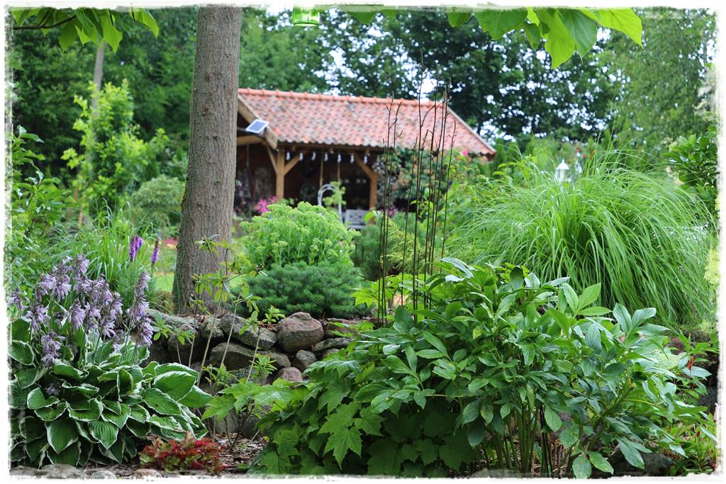 Wieloletnie kwiaty na rabatę 2b Wieloletnie kwiaty na rabatę 2b