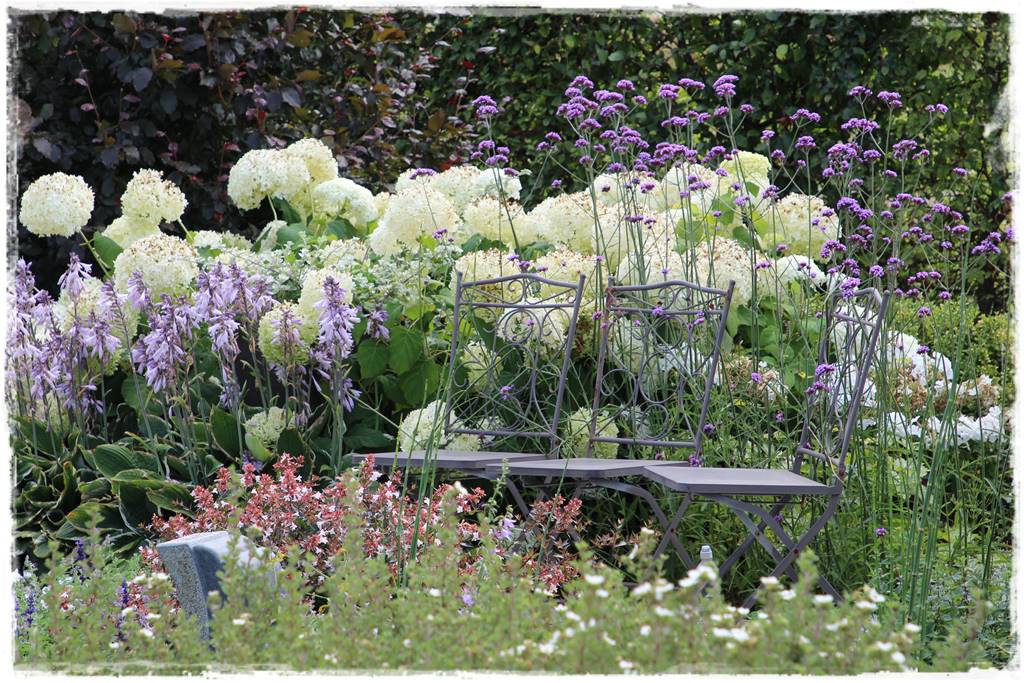 Wieloletnie kwiaty na rabatę 2c Wieloletnie kwiaty na rabatę 2c