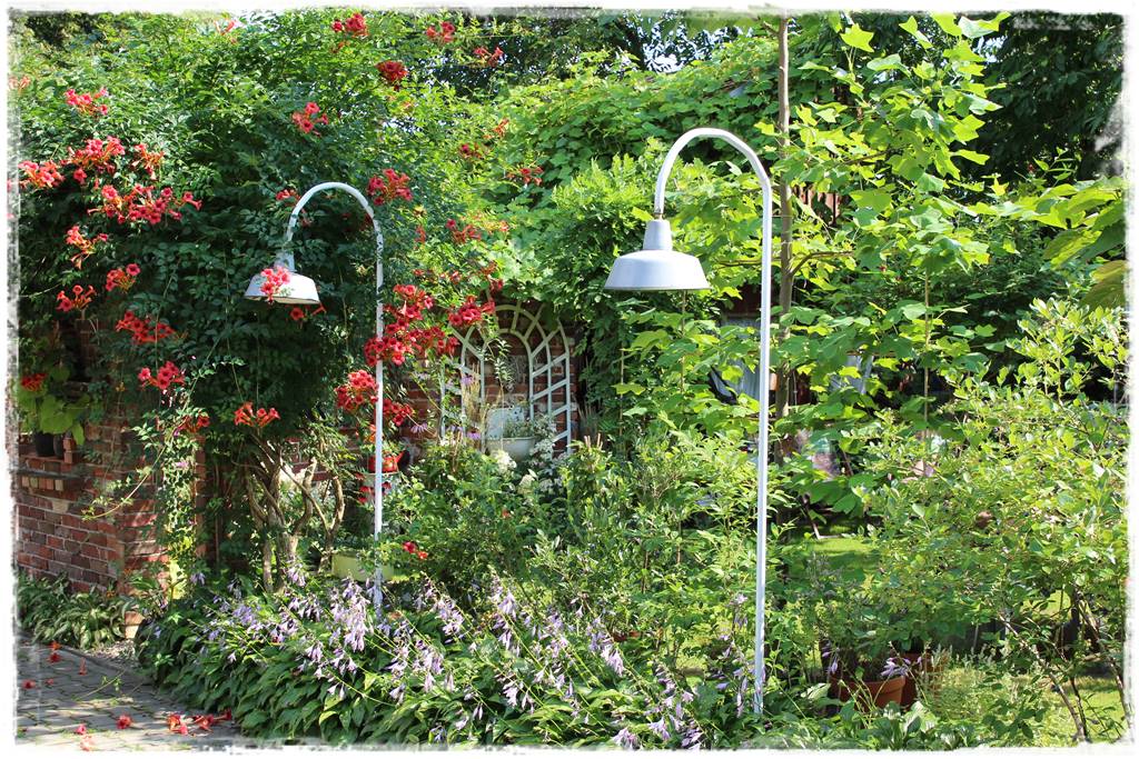 Wieloletnie kwiaty na rabatę 2g Wieloletnie kwiaty na rabatę 2g