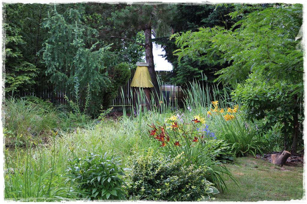 Wieloletnie kwiaty na rabatę 4c Wieloletnie kwiaty na rabatę 4c